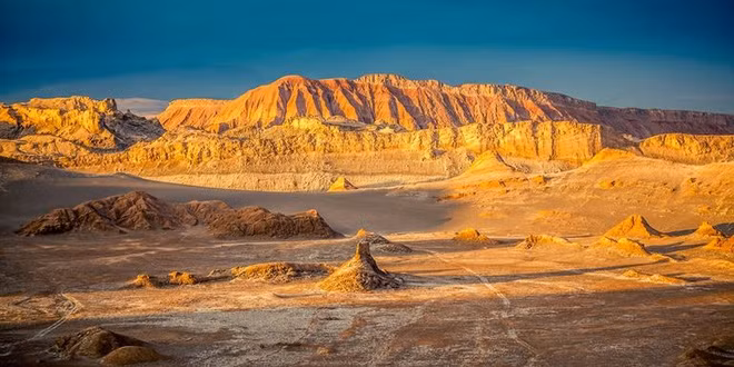 Hiện tượng kỳ lạ: Muôn hoa đua nở rực rỡ sắc màu ở sa mạc khô cằn nhất thế giới - Ảnh 1.