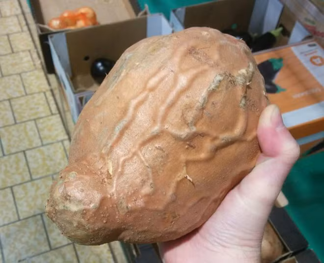 Những thứ rau củ phá vỡ mọi phép tắc khiến ai cũng phải giật mình nhìn lại - Ảnh 1.