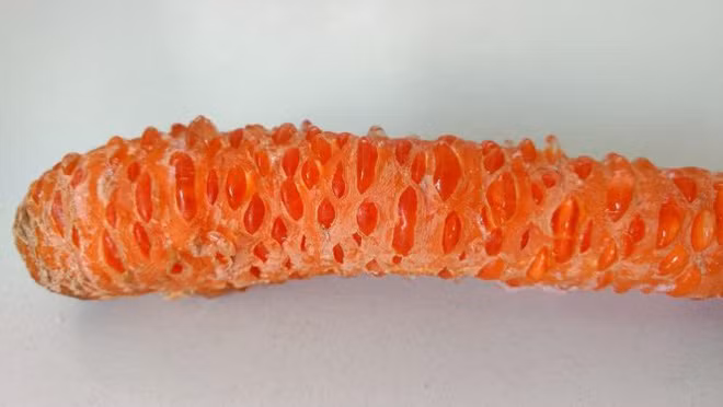 Những thứ rau củ phá vỡ mọi phép tắc khiến ai cũng phải giật mình nhìn lại - Ảnh 6.