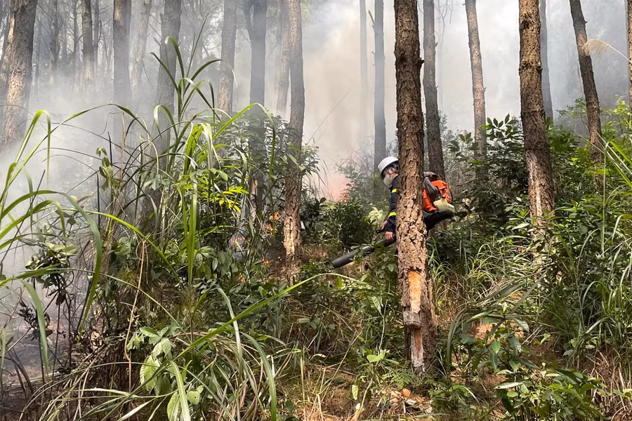 Khói từ đám cháy bao trùm một khu vực.
