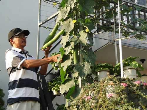 gia-dinh-sai-gon-cho-rau-san-thuong-ve-que-bieu-nguoi-than-1