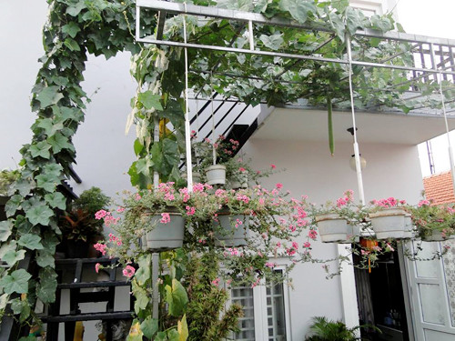 gia-dinh-sai-gon-cho-rau-san-thuong-ve-que-bieu-nguoi-than-2