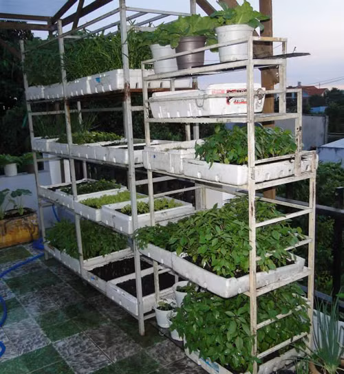 gia-dinh-sai-gon-cho-rau-san-thuong-ve-que-bieu-nguoi-than-7