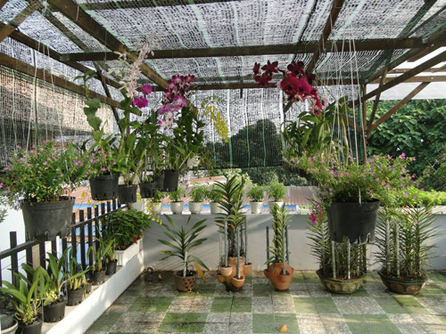 gia-dinh-sai-gon-cho-rau-san-thuong-ve-que-bieu-nguoi-than-10