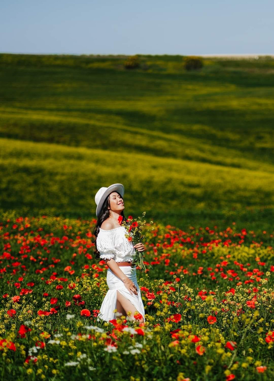Tuscany ngập tràn hoa. Tuscany ngập tràn hoa.