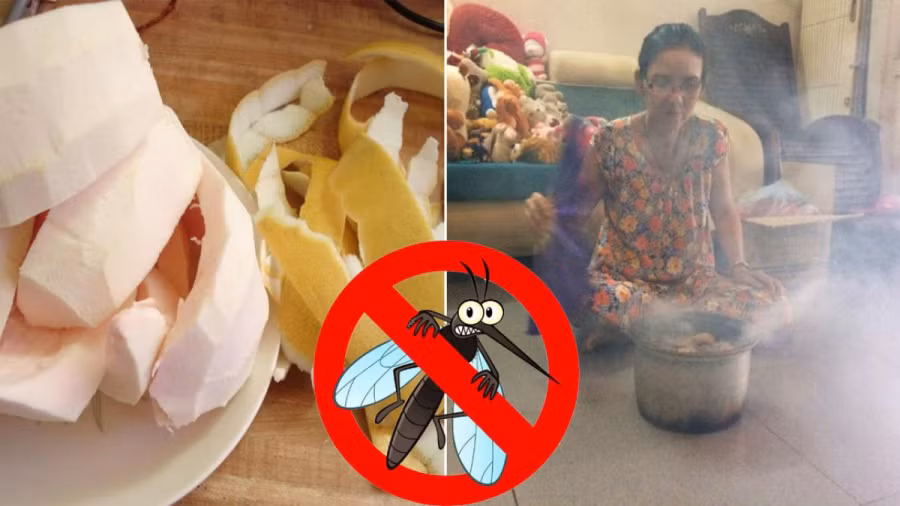 meo duoi muoi bang vo buoi-phunutoday