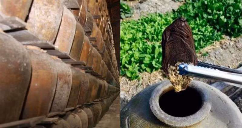 Kho báu lạ lùng của bà nội. 