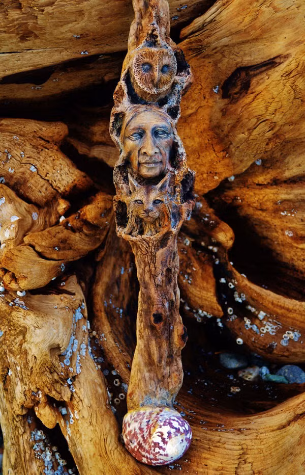 Biến gỗ vụn thành tác phẩm nghệ thuật đầy mê hoặc ảnh 12