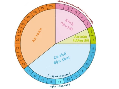 Bảng phân chia thời gian quan hệ an toàn và không an toàn trong chu kỳ kinh nguyệt 28 ngày.