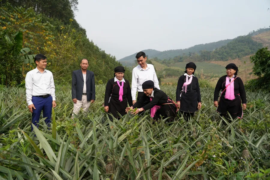 Bà Đặng Thị Dẩn (thứ 3 từ phải sang) cùng lãnh đạo xã đến thăm mô hình trồng dứa của bà con Nhân dân trong thôn.