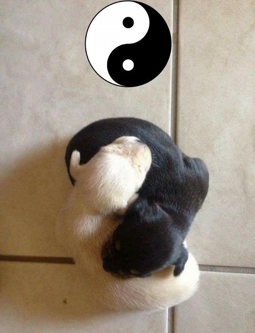 10-anh-hai-hot-nhat-facebook-trong-ngay-6