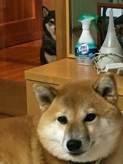 10-anh-hai-hot-nhat-facebook-trong-ngay-5