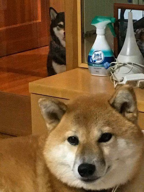 10-anh-hai-hot-nhat-facebook-trong-ngay-5