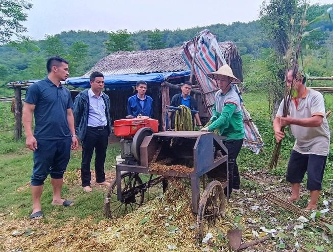 Sau khi thu hoạch, bà con dùng máy để tuốt vỏ. Sau khi thu hoạch, bà con dùng máy để tuốt vỏ.