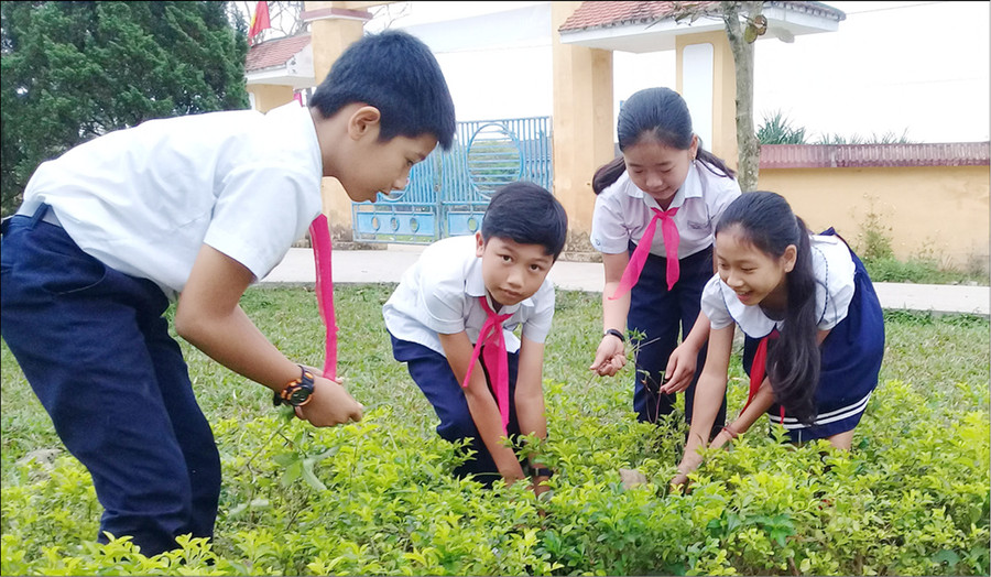 Chăm sóc và bảo vệ cơ sở vật chất và môi trường học tập là một trong những nội dung cần GD trong nhà trường