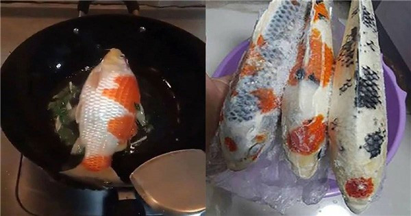 Đi đá bóng về muộn, chồng khóc 1 dòng sông khi về nhà chứng kiến cách trả đũa của vợ - Ảnh 3. Đi đá bóng về muộn, chồng khóc 1 dòng sông khi về nhà chứng kiến cách trả đũa của vợ - Ảnh 3.