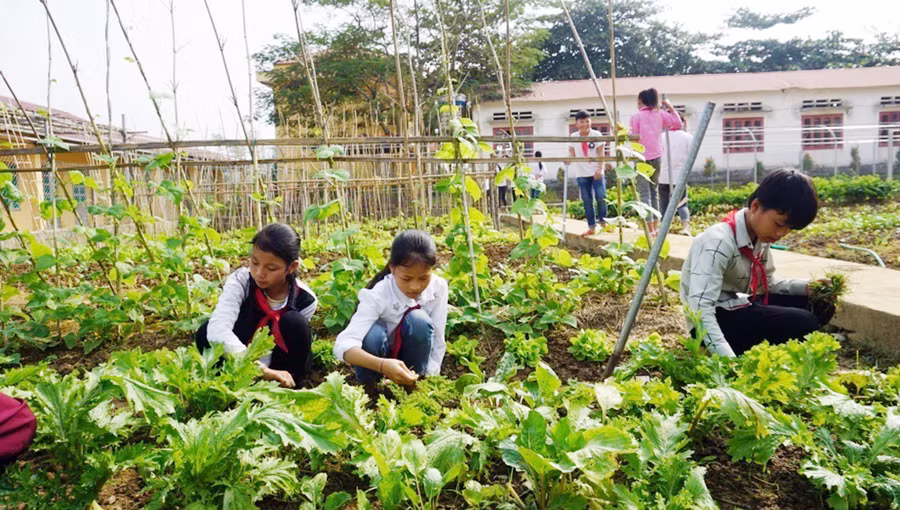 Giờ học Công nghệ của học sinh lớp 7 Trường Tiểu học và THCS Cam Cọn