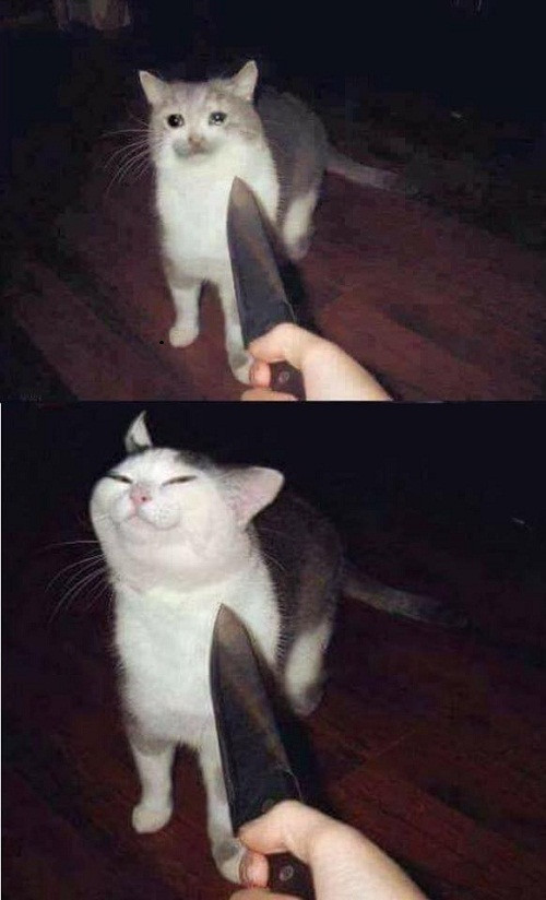 Khí phách hiên ngang. 10-anh-hai-hot-nhat-facebook-trong-ngay-6