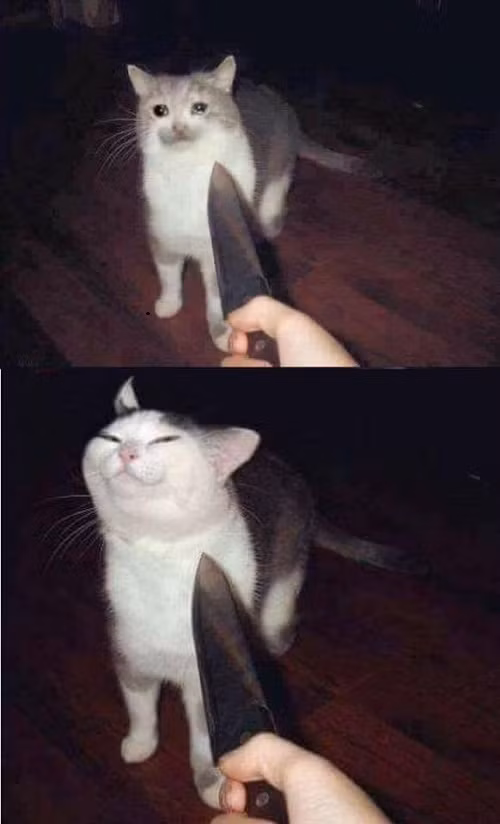 Khí phách hiên ngang. 10-anh-hai-hot-nhat-facebook-trong-ngay-6