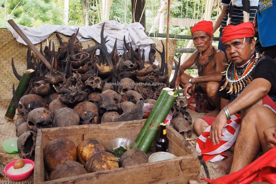 kinh ngac ghe tham bo toc giong het nguoi viet co o indonesia - 12