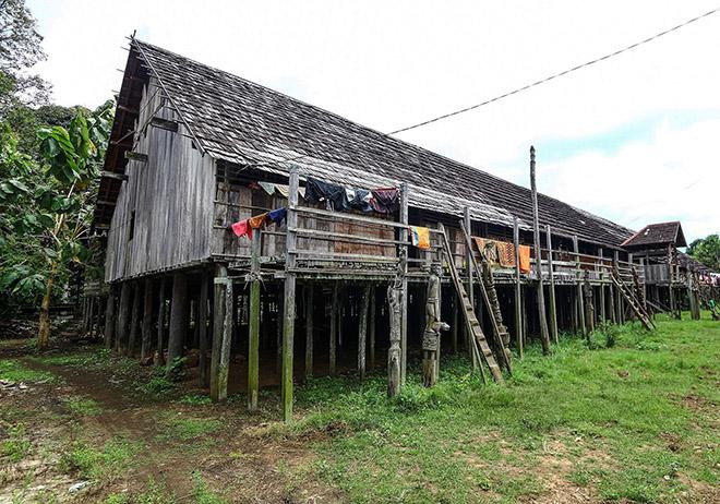 Kinh ngạc ghé thăm bộ tộc giống hệt người Việt cổ ở Indonesia ảnh 11 kinh ngac ghe tham bo toc giong het nguoi viet co o indonesia - 11