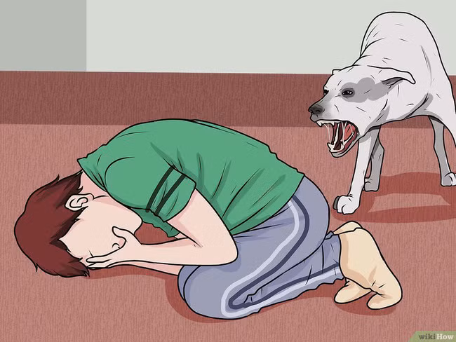 Khi bị chó tấn công, làm ngay những việc này để cứu mạng bản thân - Ảnh 8.