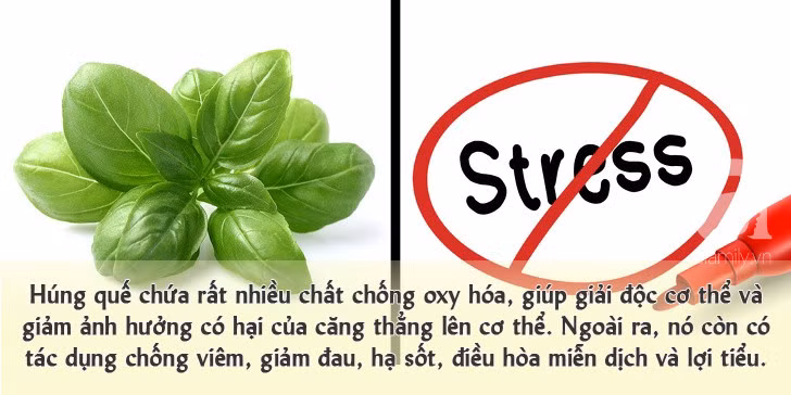 9 loại thực phẩm có tính kiềm giúp bạn giảm mỡ thừa nhanh cực nhanh trong hè này - Ảnh 10.