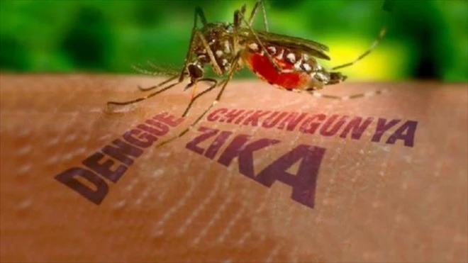 Nguy cơ bùng phát nhiễm virus Zika