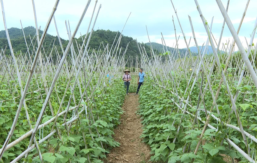 Nhiều mô hình kinh tế đem lại hiệu quả được Hội Phụ nữ xã Noong Hẹt nhân rộng.