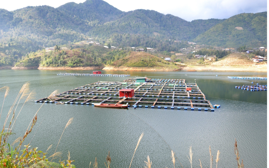 Người dân ở Séo Mý Tỷ nuôi cá lồng trên lòng hồ thuỷ điện.