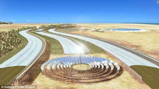 Bắt sa mạc Sahara “đẻ” ra rau xanh, nước sạch quanh năm