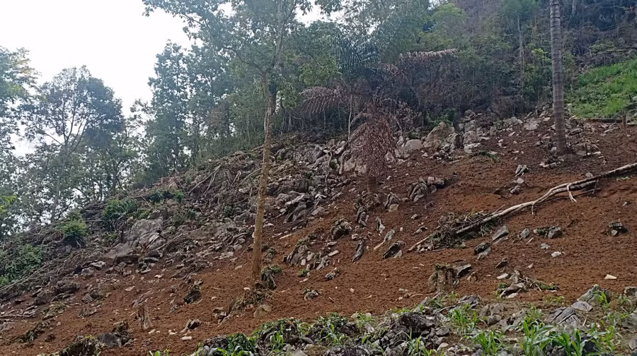 Một điểm mà người dân vi phạm quy tắc bảo vệ rừng đã bị lập biên bản Một điểm mà người dân vi phạm quy tắc bảo vệ rừng đã bị lập biên bản