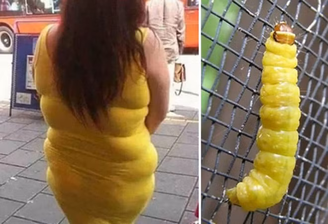 Những cặp song sinh không cùng cha cũng khác cả mẹ khiến ai cũng phải bật cười - Ảnh 22.