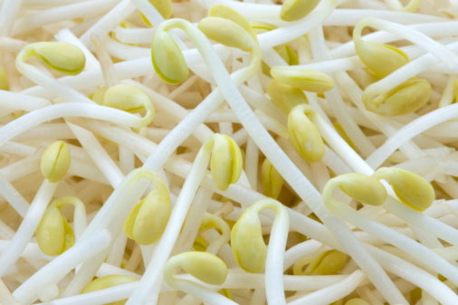 4 thể trạng người không nên ăn giá đỗ vì nguy hiểm khó lường