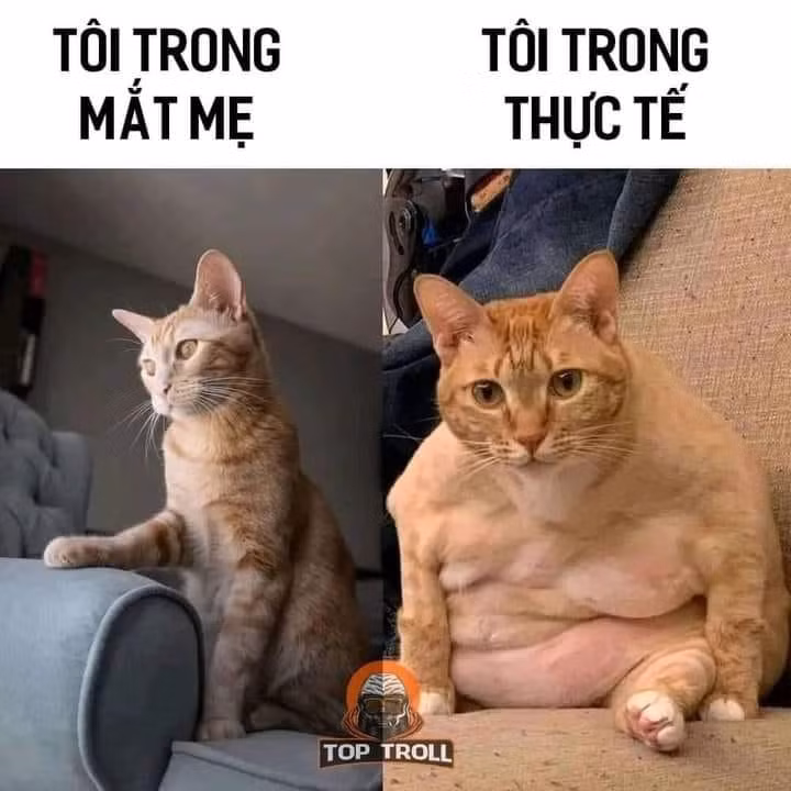 Đúng là con hát mẹ khen hay. Yêu mẹ!