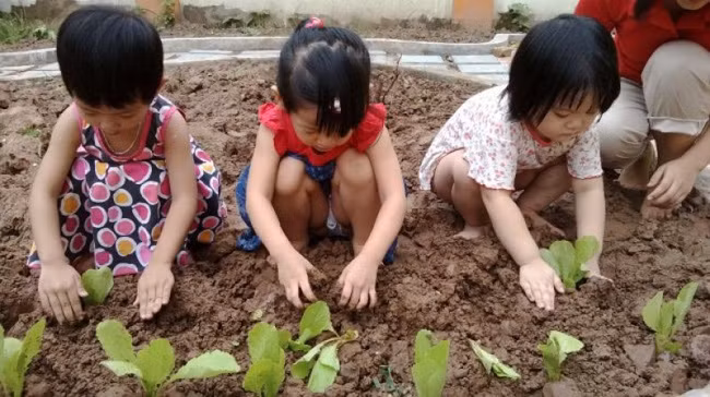  15 sai lầm phổ biến của cha mẹ khiến con trở thành đứa trẻ biếng ăn - Ảnh 5.