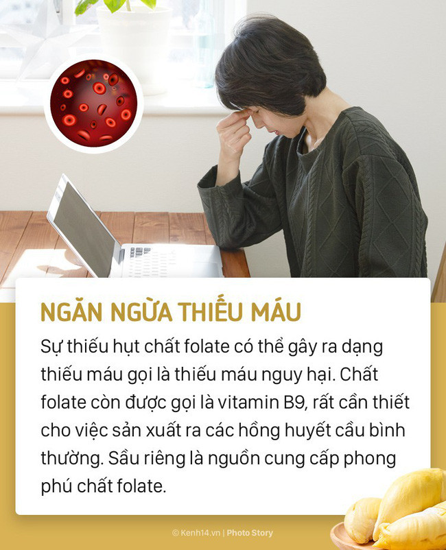 Khó ngửi là thế nhưng sầu riêng lại đem đến rất nhiều lợi ích với sức khỏe của bạn - Ảnh 1. Khó ngửi là thế nhưng sầu riêng lại đem đến rất nhiều lợi ích với sức khỏe của bạn - Ảnh 1.