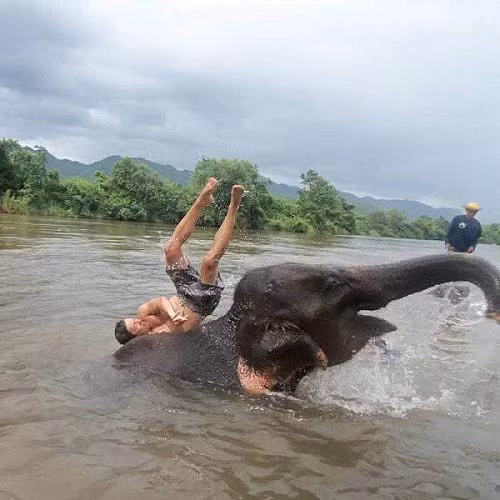 Những hình ảnh hài hước trong ngày - Hình 7