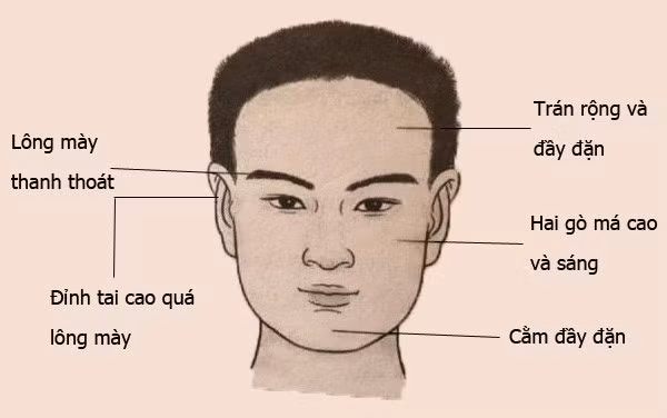 ​Trán cao dô người đàn ông giàu có.