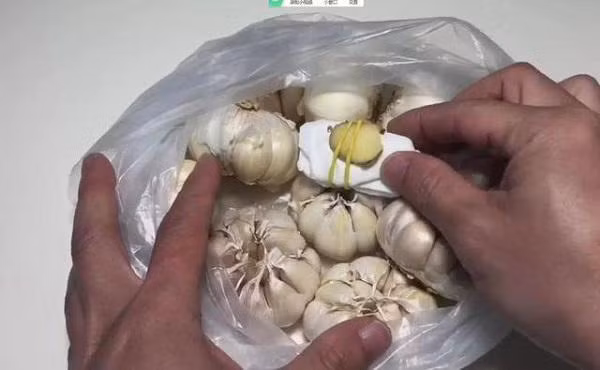 Mẹo cất gừng, khoai tây, tỏi để cả tháng mà không bị nẩy mầm - Hình 3