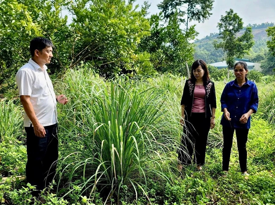 Hà Giang thúc đẩy giảm nghèo nhanh và bền vững.