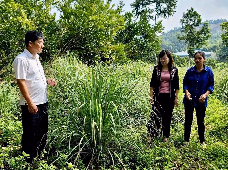 Hà Giang thúc đẩy giảm nghèo nhanh và bền vững.
