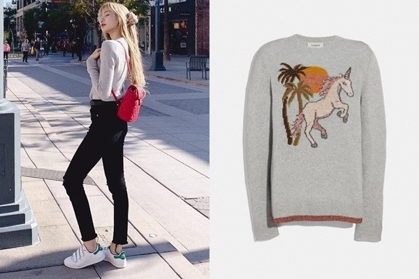 "Choáng" với bộ sưu tập áo nỉ cả trăm triệu đồng của Lisa BLACKPINK ảnh 3 f