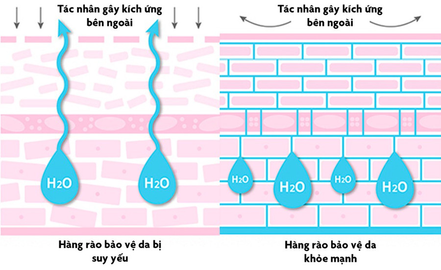 Dau hieu cho thay kem duong am khong co tac dung tren da ban hinh anh 2 