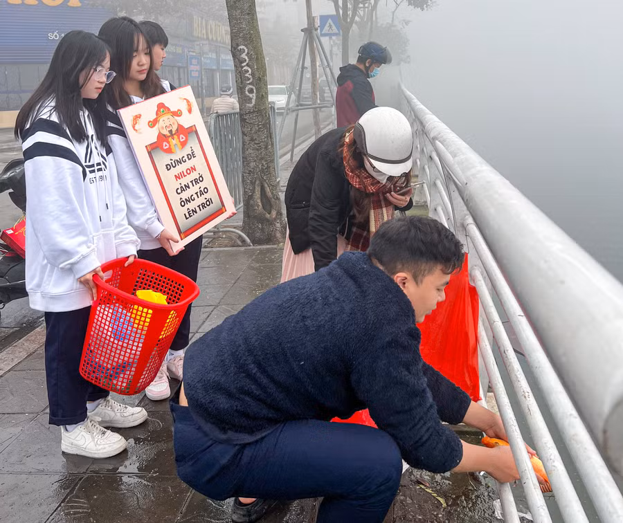 Mọi người chỉ thả cá xuống hồ, túi nilon sẽ được tập kết trên bờ.