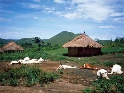 Bi an “ho tu than” doat mang hang nghin nguoi trong chop mat-Hinh-4