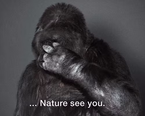 khi dot blogtamsuvn5