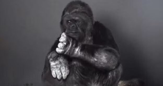 khi dot blogtamsuvn8