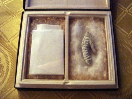 Nhiều thứ “không ai ngờ” dưới gầm giường ảnh 2 Giật mình phát hiện