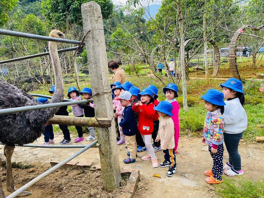 Hoạt động trải nghiệm của trường Mầm non Baby Star Hoạt động trải nghiệm của trường Mầm non Baby Star
